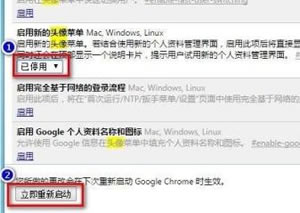 chrome谷歌浏览器电脑版如何停用新的头像功能  chrome浏览器最新版下载