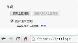 谷歌浏览器主页按钮在哪设置